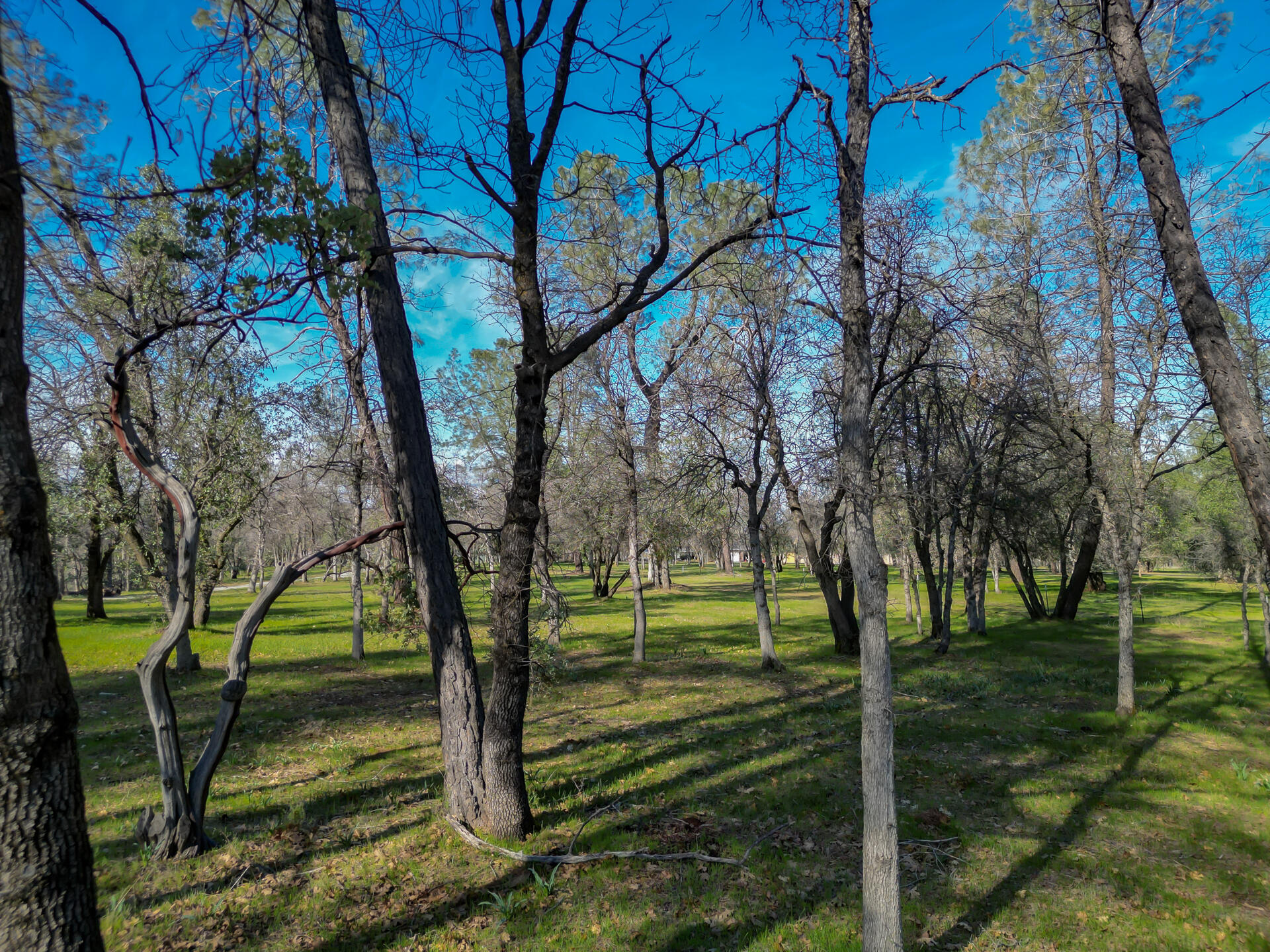 0 Butterfield Lane Anderson, CA 96007 - Photo 8 of 21 ButterfieldProperty-3