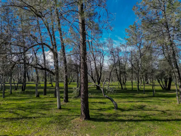 a view of a park