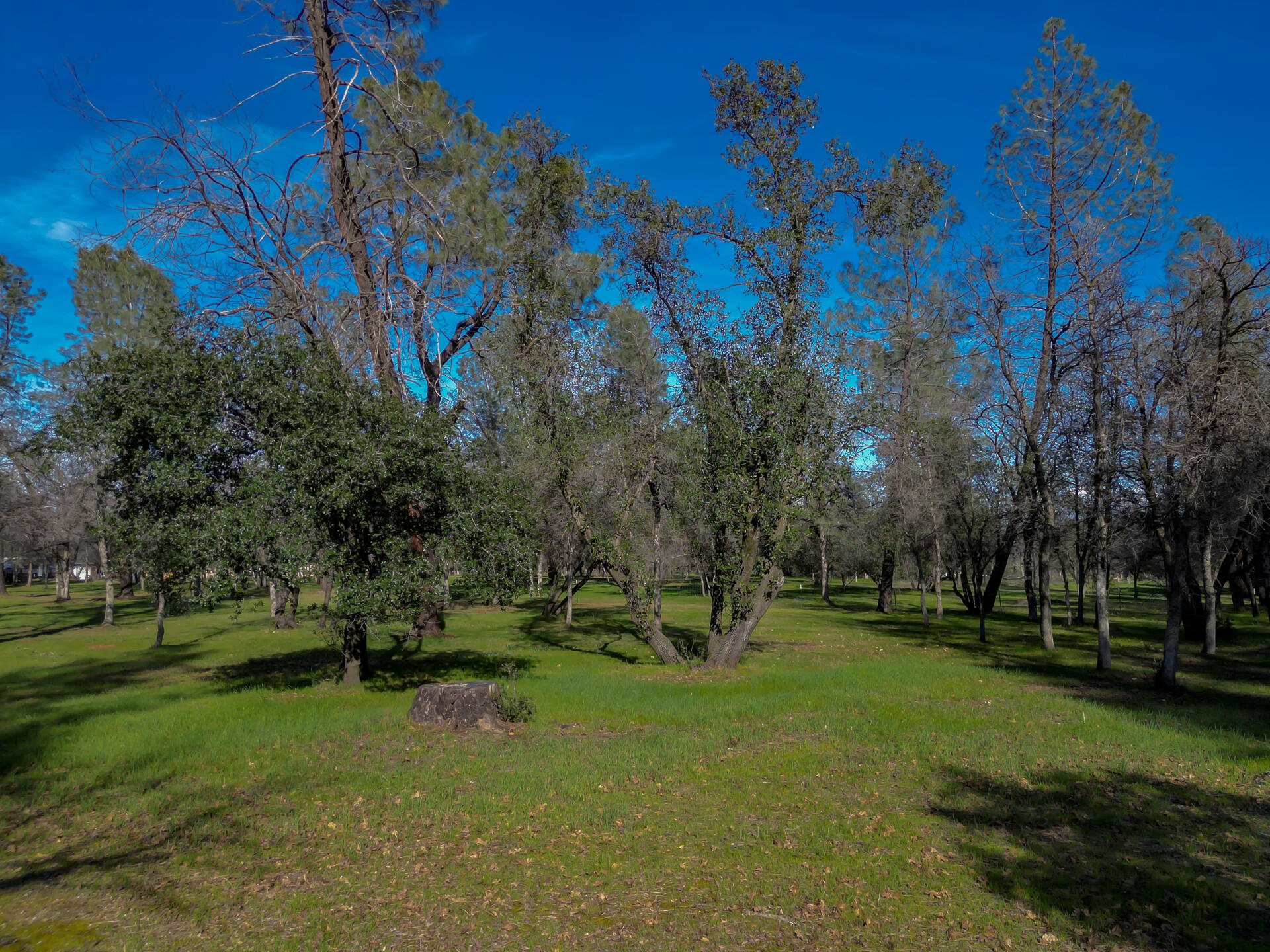 0 Butterfield Lane Anderson, CA 96007 - Photo 10 of 21 ButterfieldProperty-2