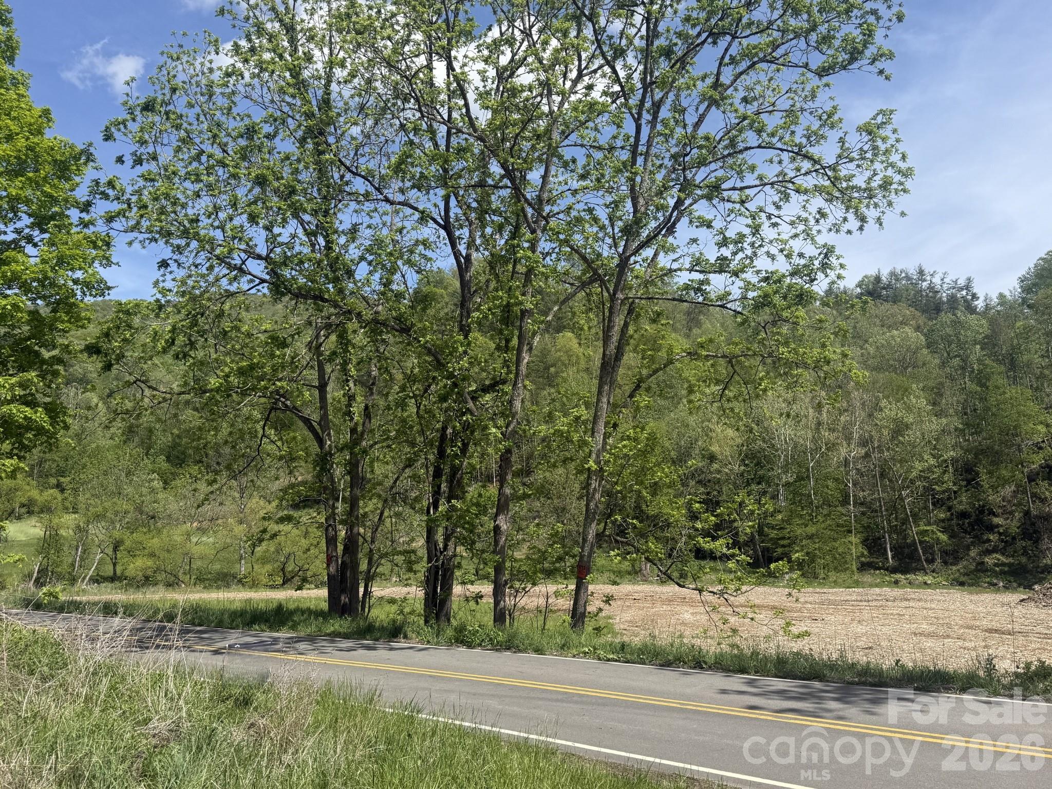 2681 Harrell Hill Road Bakersville, NC 28705 - Photo 2 of 4