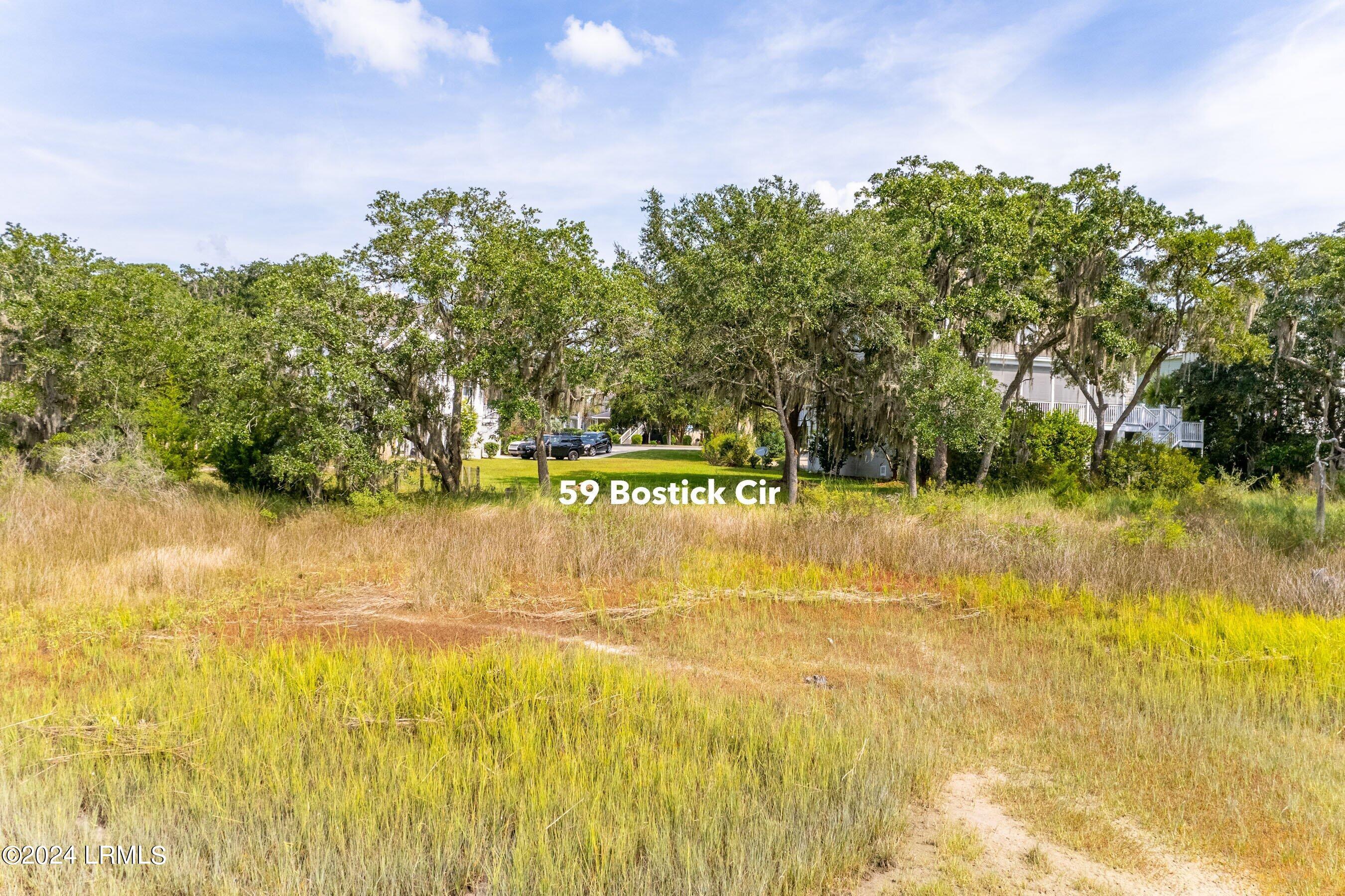 59 Bostick Circle Beaufort, SC 29902 - Photo 3 of 22 DJI_0187-1.jpg-SMALL