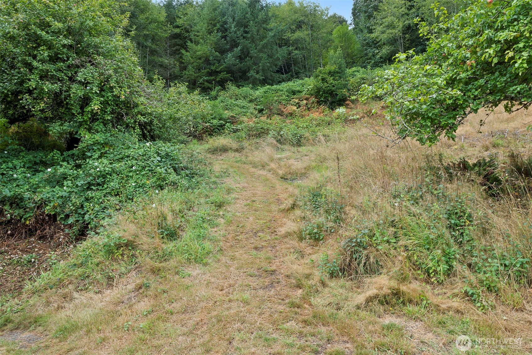 23 Elk Creek Road Raymond, WA 98577 - Photo 27 of 34 Gallery Image 27