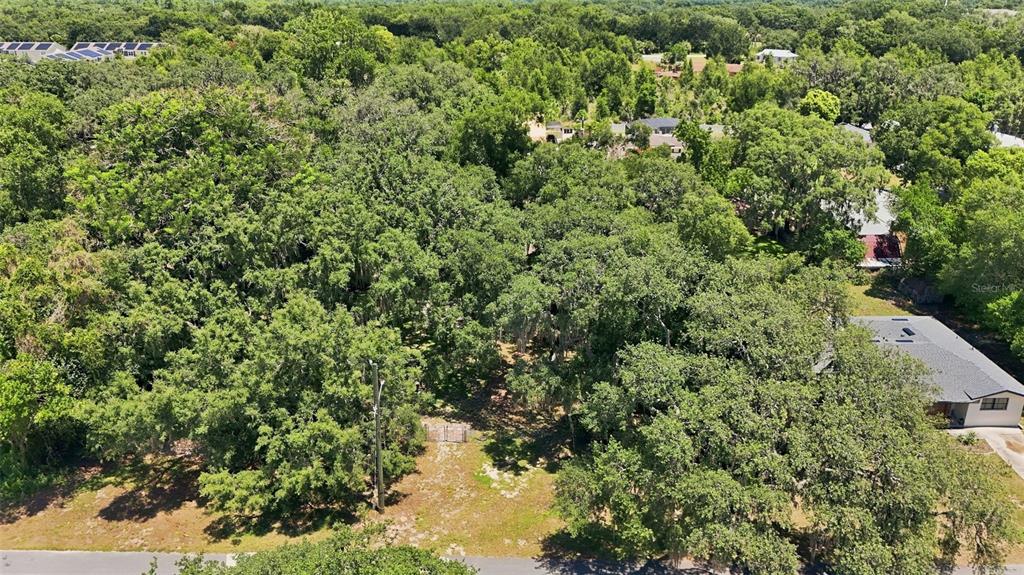 3104 Garden Road Eustis, FL 32726 - Photo 38 of 53