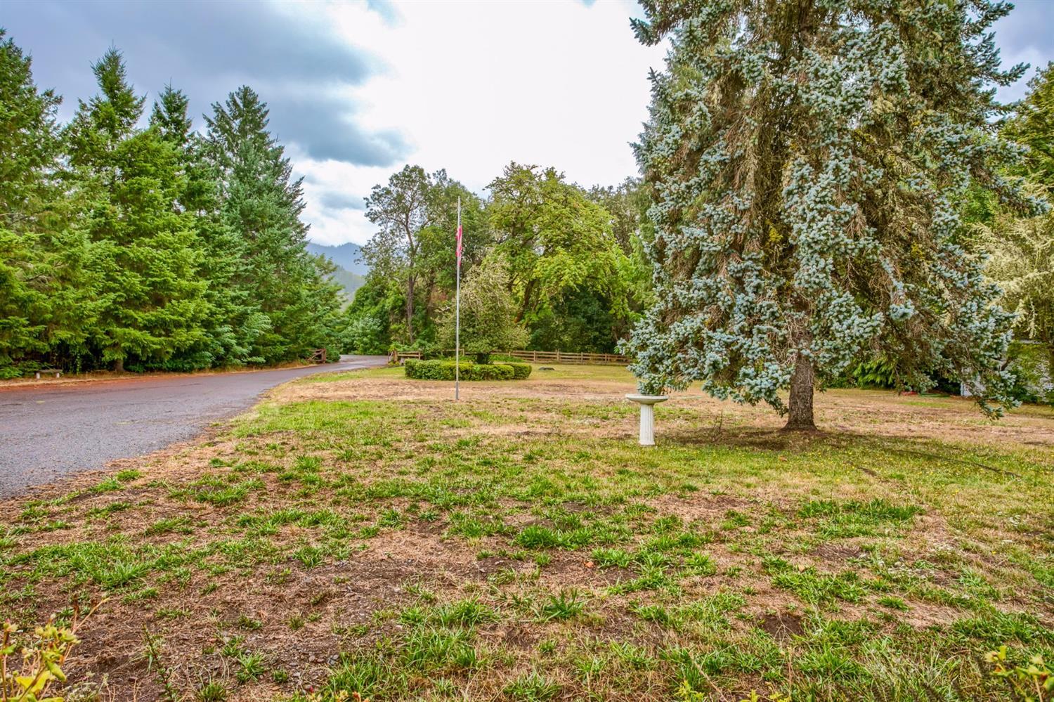 445 Cow Creek Road Riddle, OR 97469 - Photo 25 of 35 a view of a yard with trees