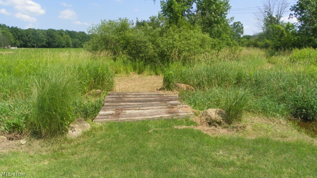 3635 Lester Road Medina, OH 44256 - Photo 3 of 15 Gallery Image 3