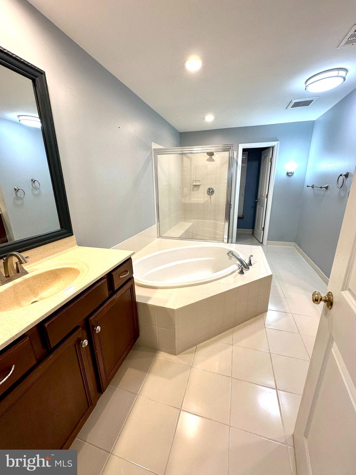 9032 Ribbon Falls Loop Bristow, VA 20136 - Photo 23 of 31 a bathroom with a bathtub sink and mirror