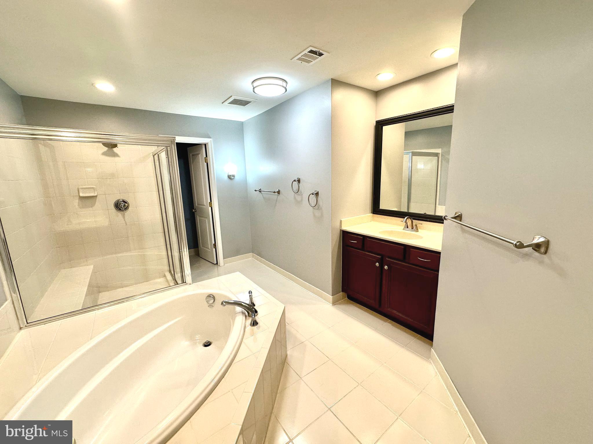 9032 Ribbon Falls Loop Bristow, VA 20136 - Photo 25 of 31 a spacious bathroom with a tub sink shower and mirror