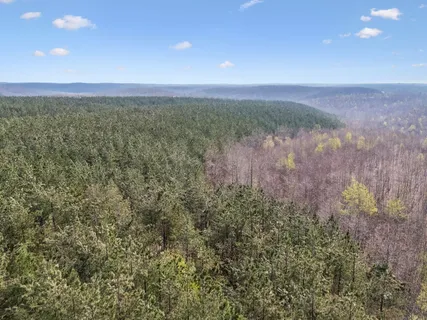 $265,000 | 499 Golden Vw Lane, Hampshire, TN 38461