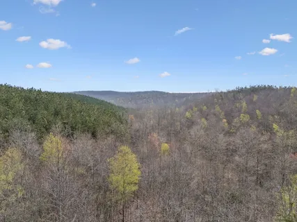 $265,000 | 499 Golden Vw Lane, Hampshire, TN 38461