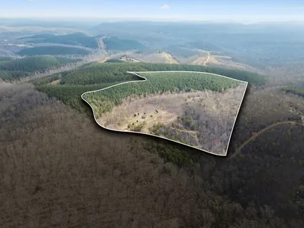 $265,000 | 499 Golden Vw Lane, Hampshire, TN 38461