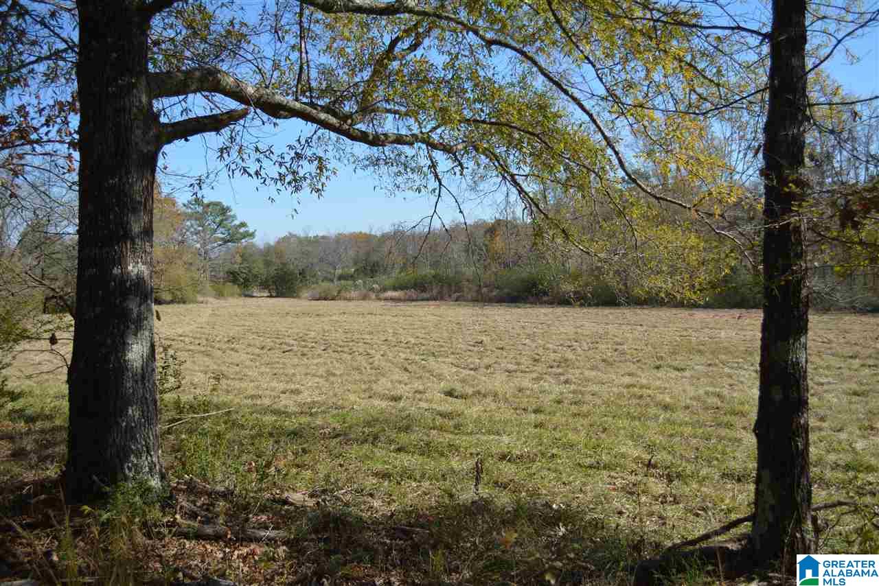 8333 Chelsea Road, Unit 1 Columbiana, AL 35051 - Photo 4 of 7 Gallery Image 4