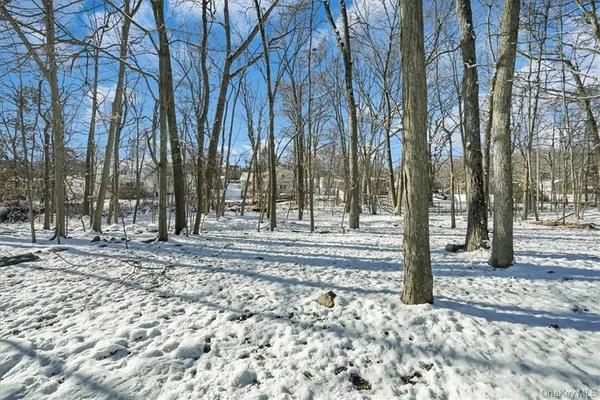 a view of a yard with a trees