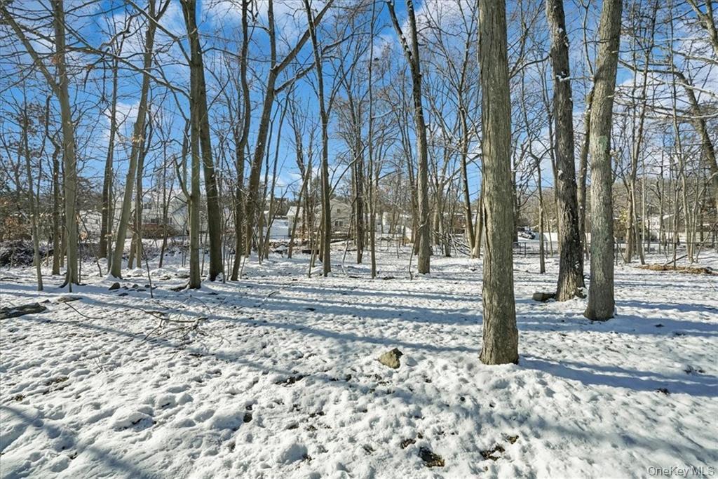 36 Ironworks Road Monroe, NY 10950 - Photo 37 of 37 View of yard covered in snow