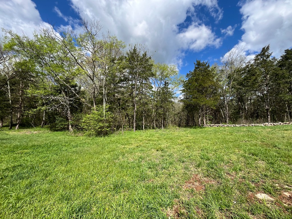 777 Holly Grove Road Lascassas, TN 37085 - Photo 1 of 5 Gallery Image 1