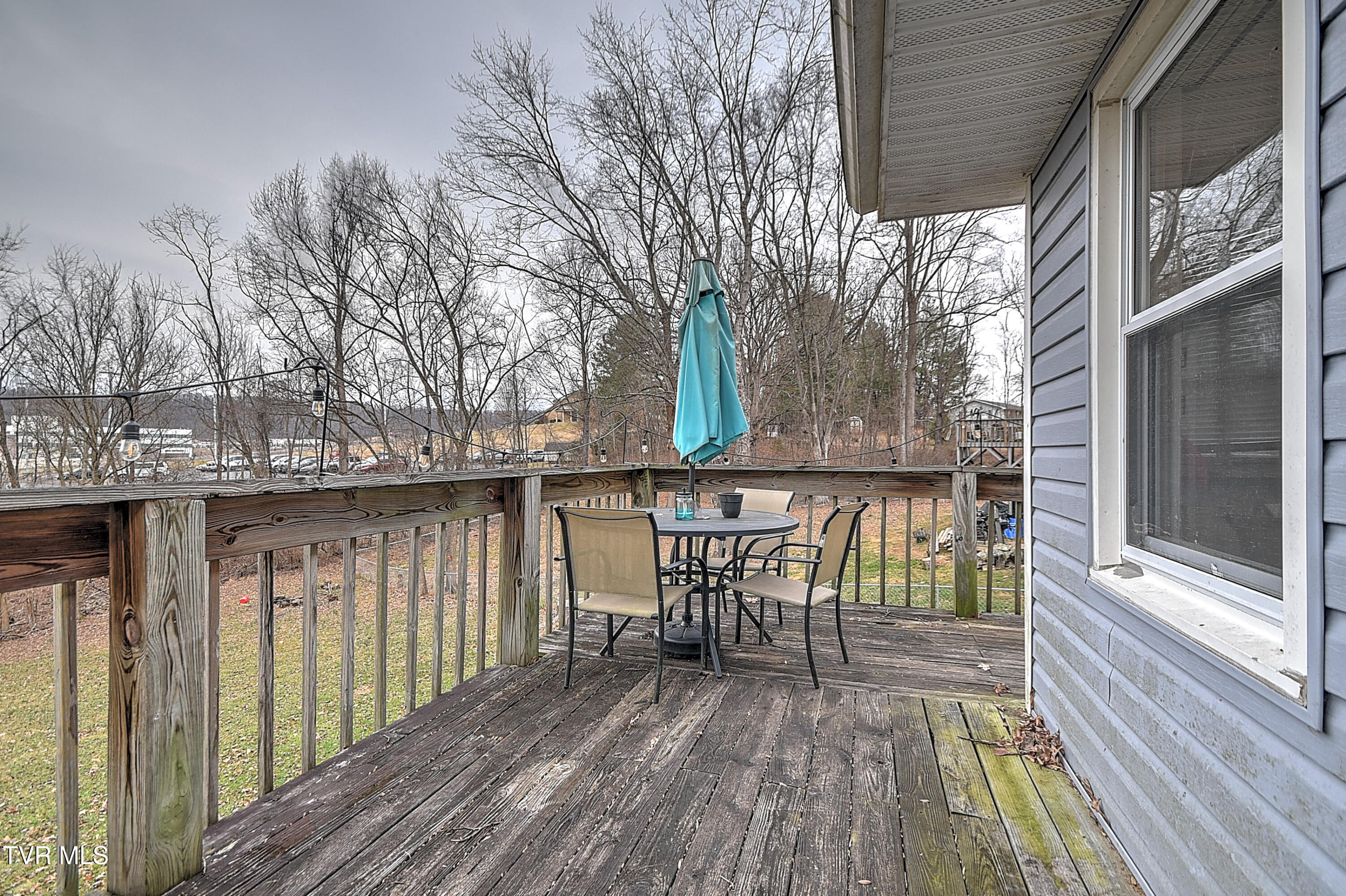 788 Meadow View Road Bristol, TN 37620 - Photo 32 of 39 788 Meadow View MG-32