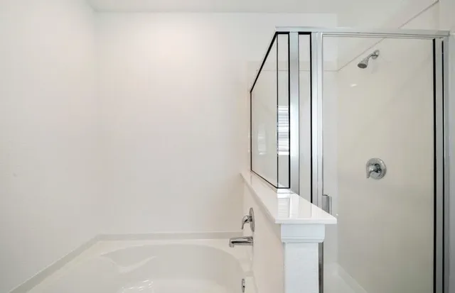 a bathroom with a bathtub and a shower