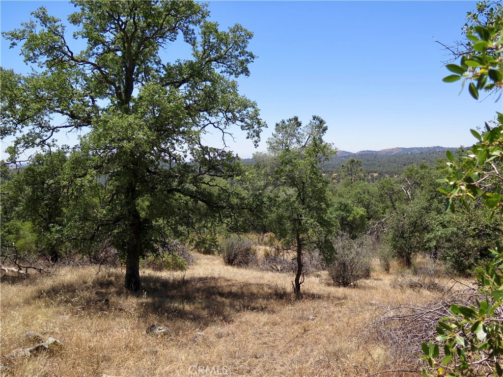 0 Ramblin Road Mariposa, CA 95338 - Photo 9 of 13