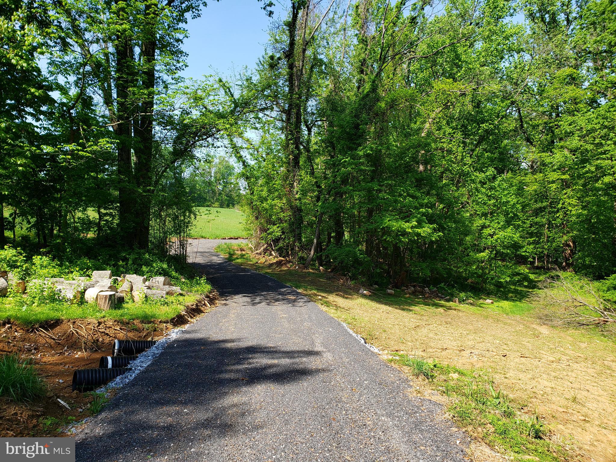 Dry Mill Road Leesburg, VA 20175 - Photo 2 of 10 New road into property.