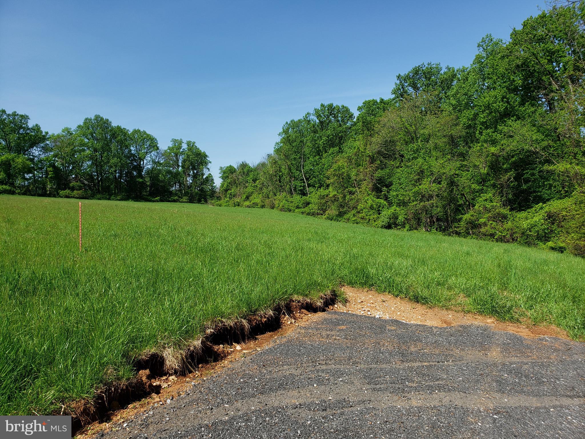Dry Mill Road Leesburg, VA 20175 - Photo 3 of 10 Road to property entrance.