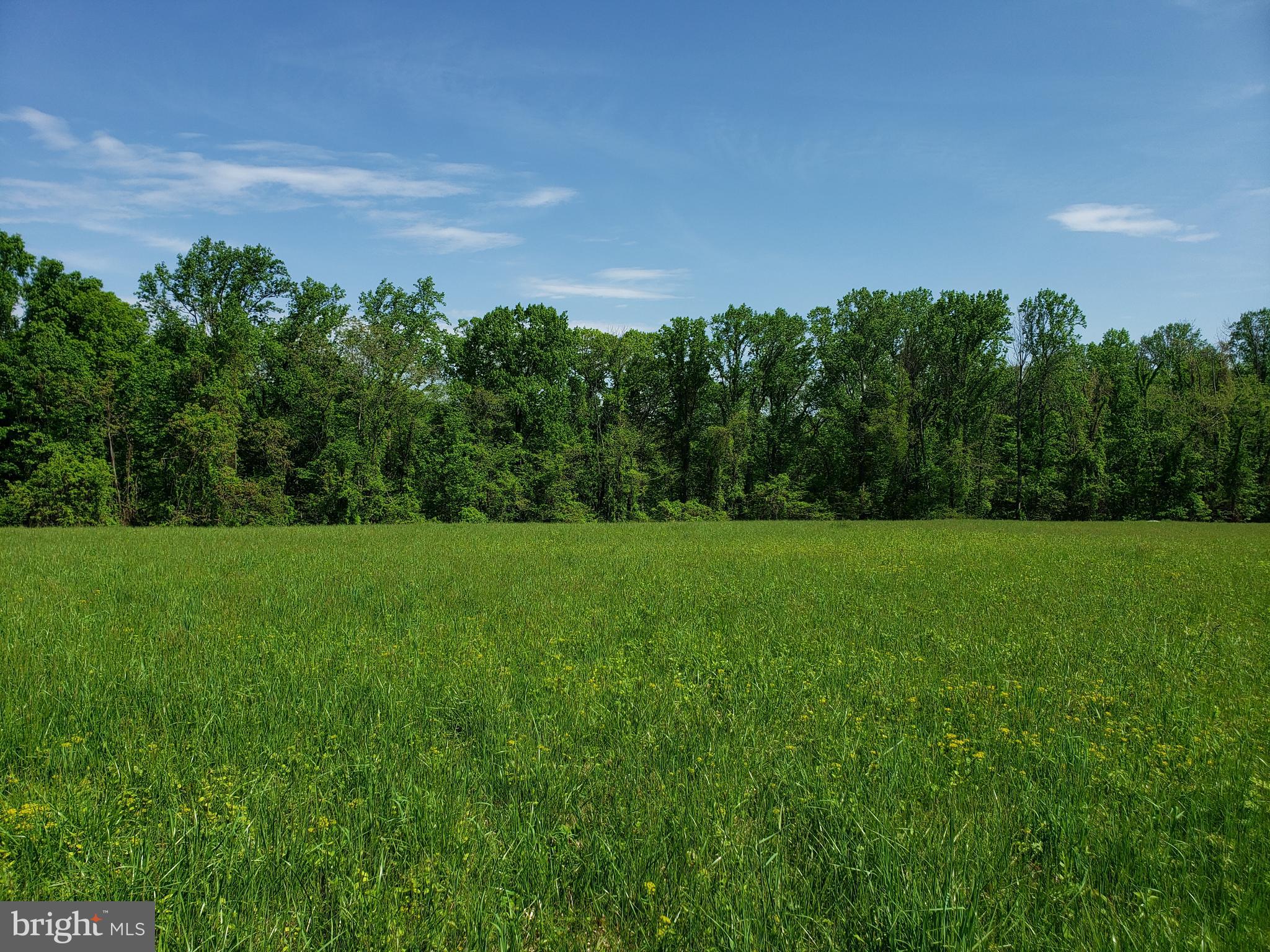 Dry Mill Road Leesburg, VA 20175 - Photo 4 of 10 View