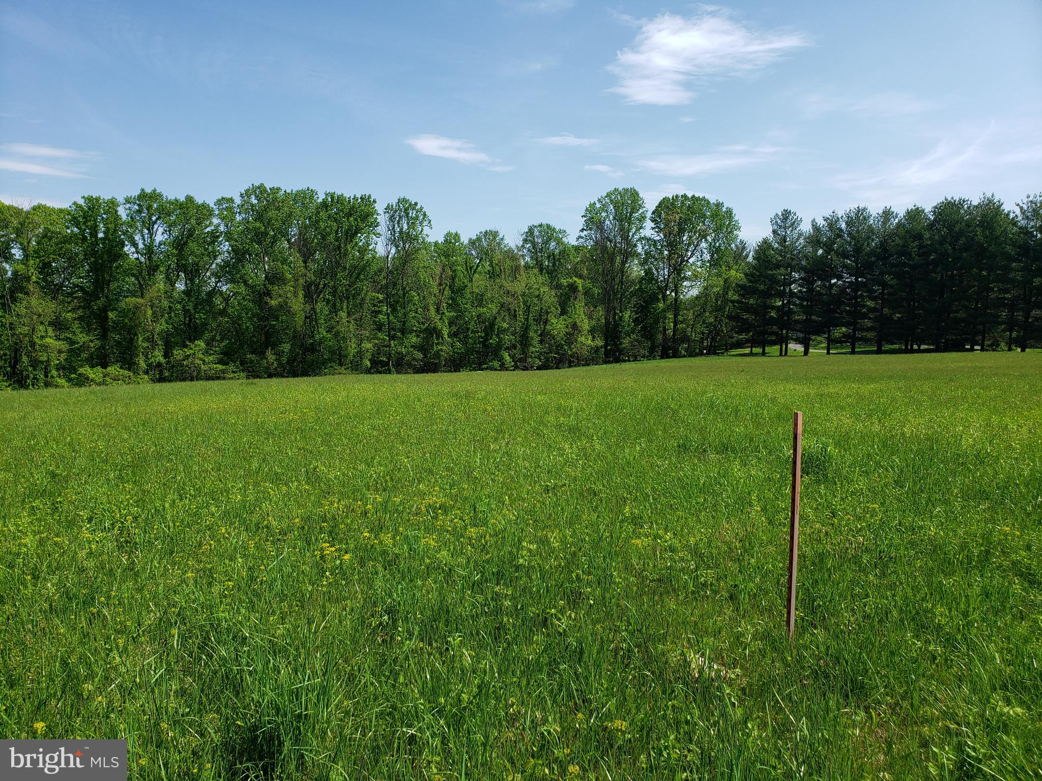 Dry Mill Road Leesburg, VA 20175 - Photo 5 of 10 View
