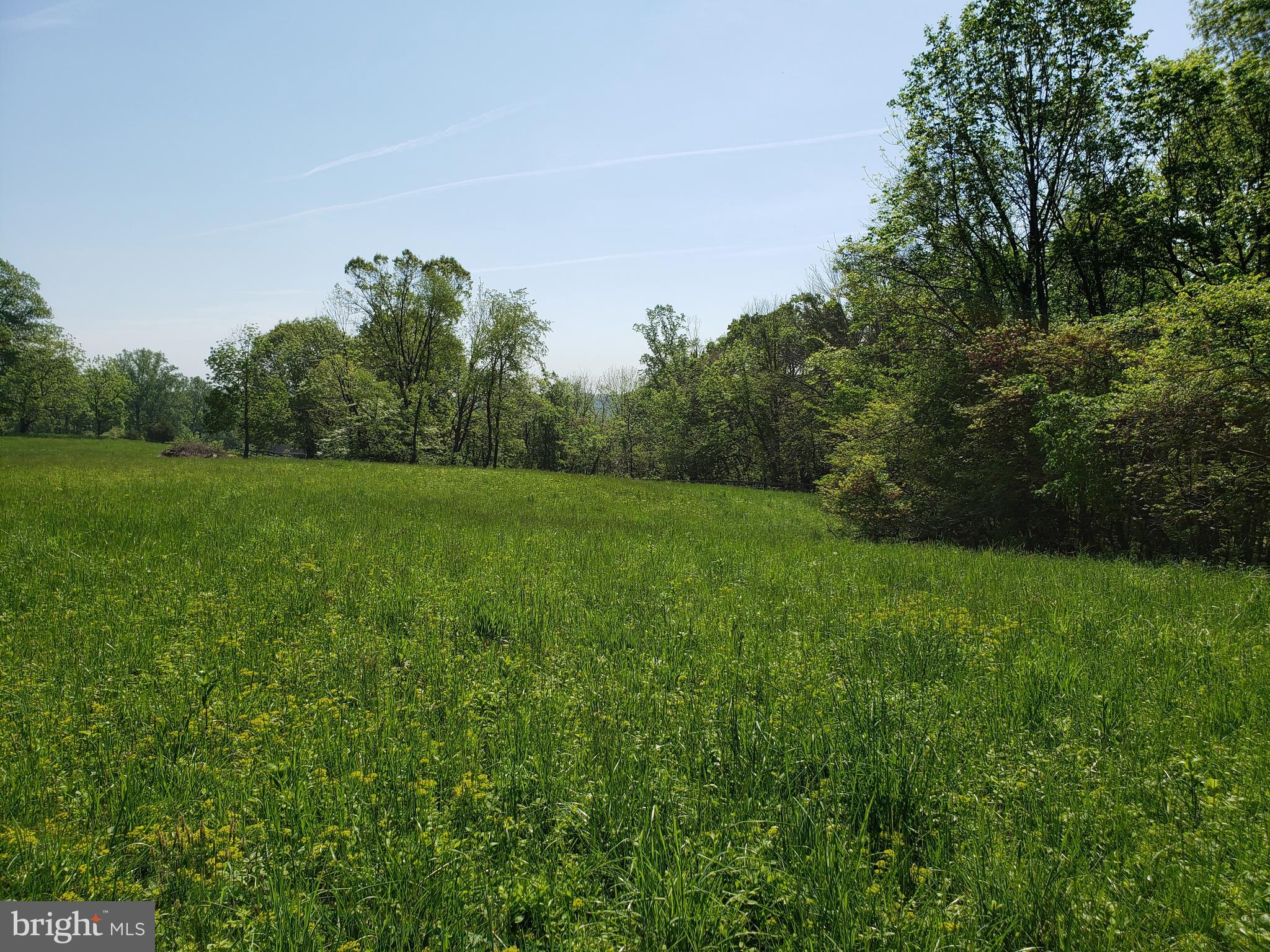 Dry Mill Road Leesburg, VA 20175 - Photo 6 of 10 View