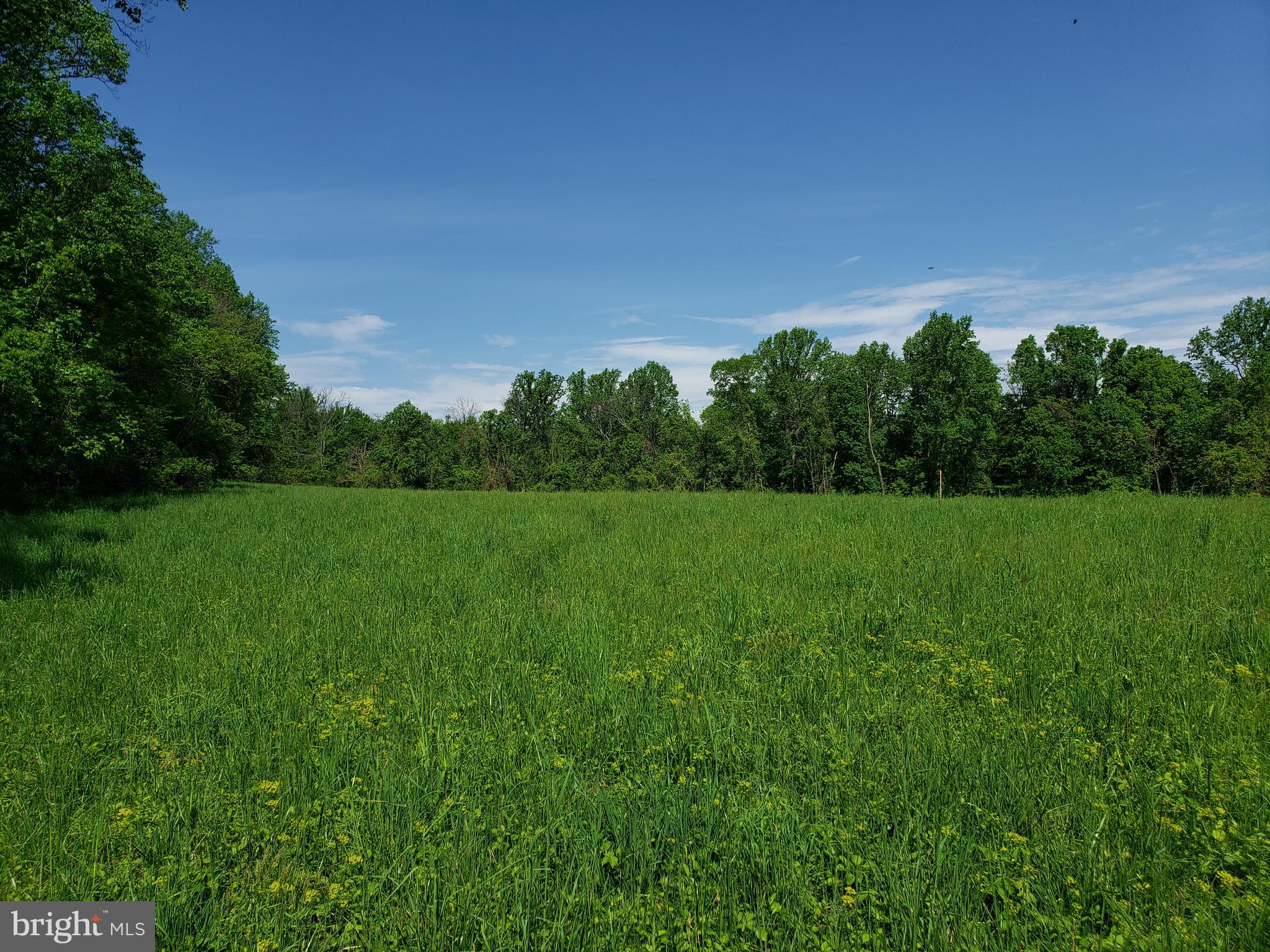 Dry Mill Road Leesburg, VA 20175 - Photo 7 of 10 View
