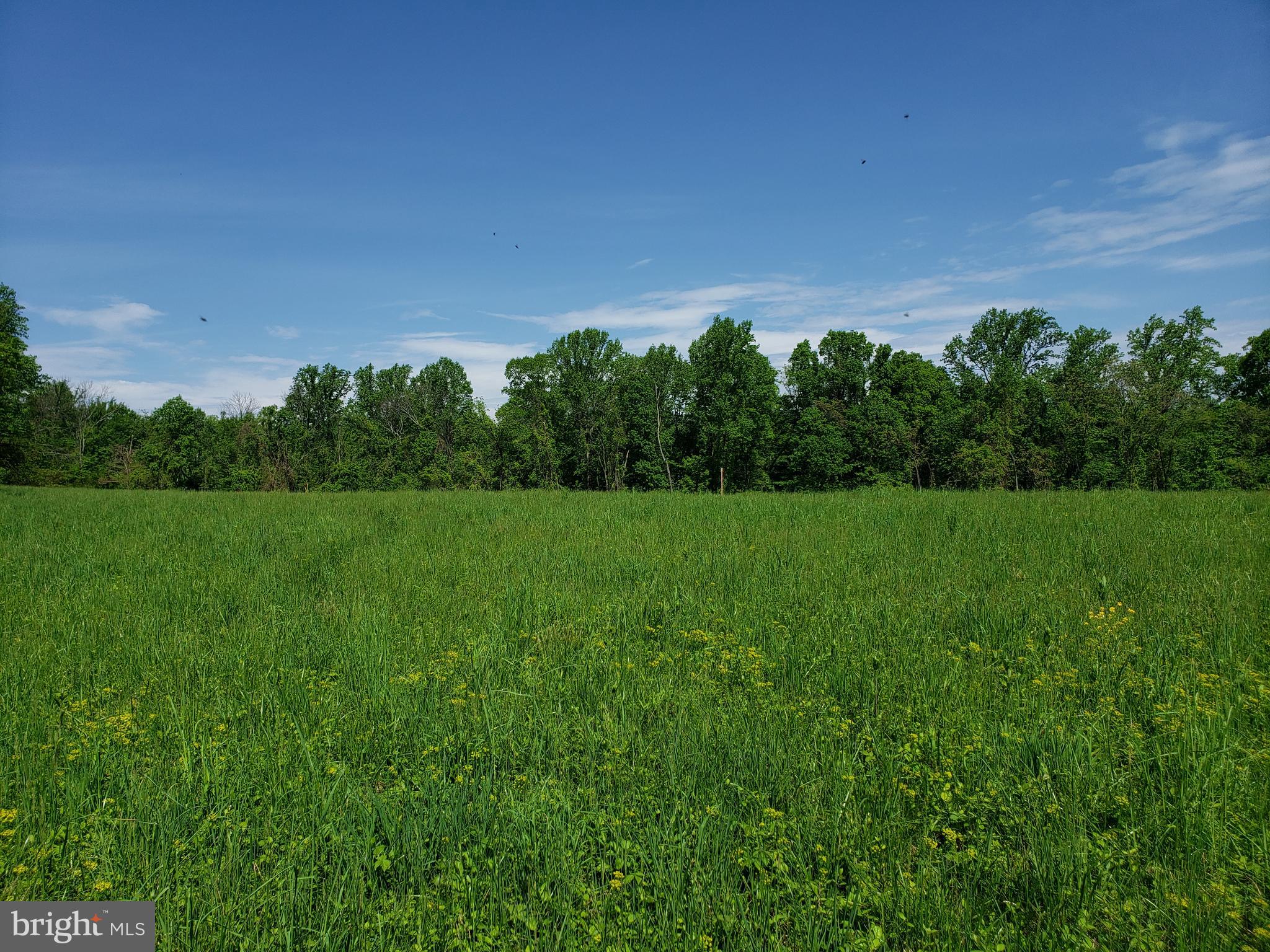 Dry Mill Road Leesburg, VA 20175 - Photo 8 of 10 View