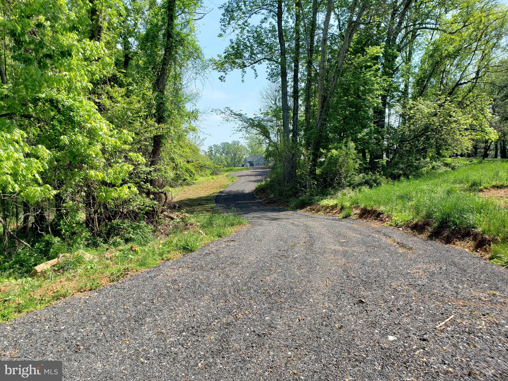 Dry Mill Road Leesburg, VA 20175 - Photo 9 of 10 Road leading out of property.