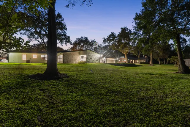 a view of a park with large trees