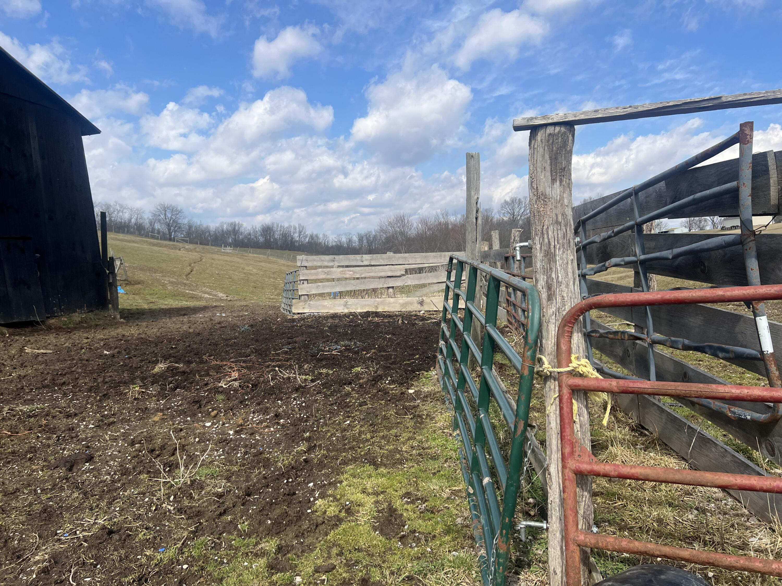 11525 Napoleon-Zion Station Road Dry Ridge, KY 41035 - Photo 4 of 15