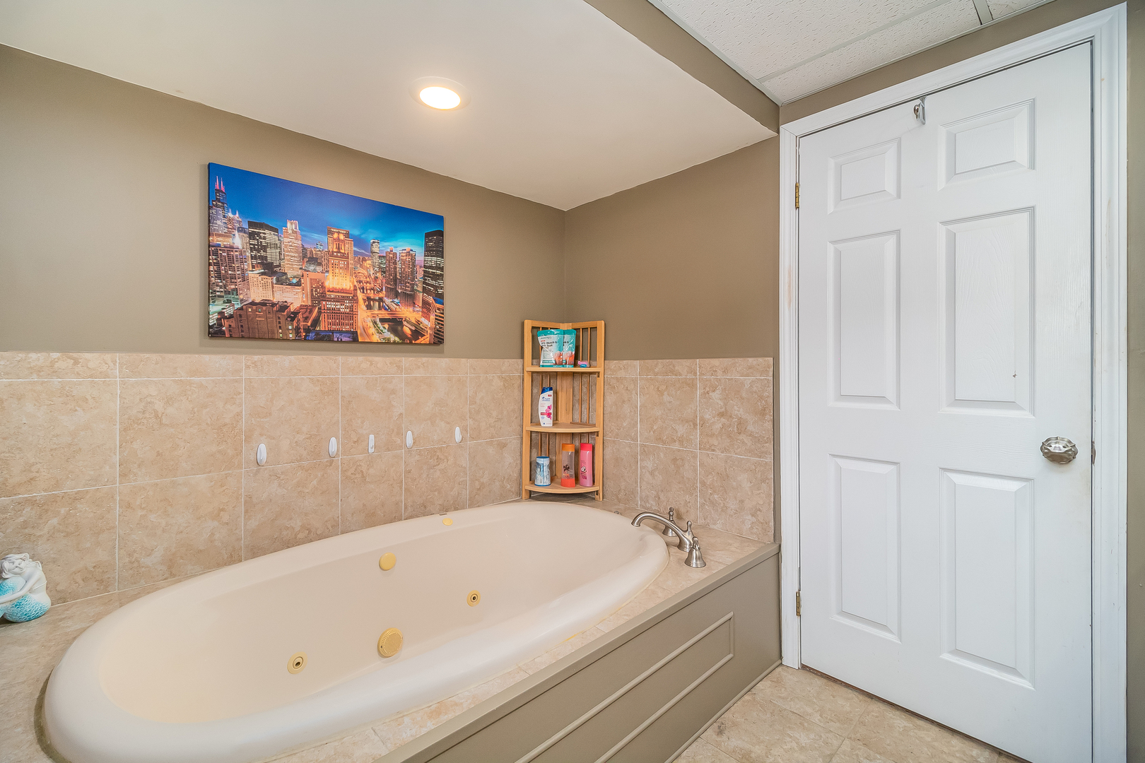 805 South Cooper Road New Lenox, IL 60451 - Photo 18 of 25 a bathroom with a bathtub and a shower