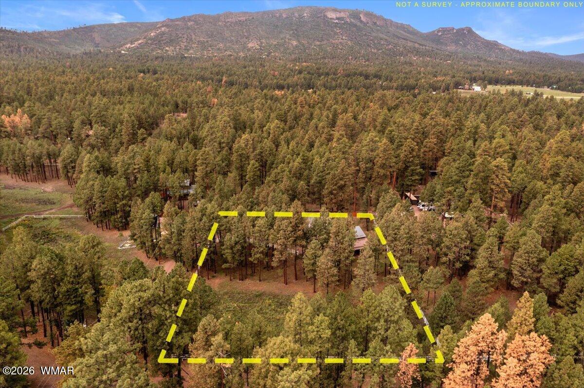 11 Whitetail Road Alpine, AZ 85920 - Photo 41 of 50 Gallery Image 41