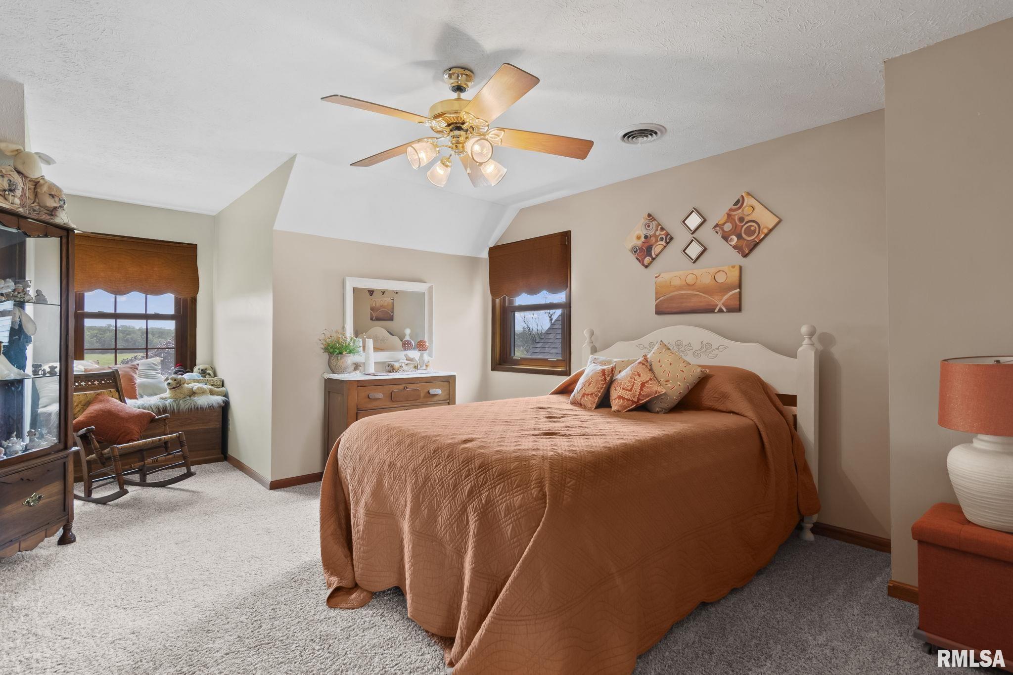 6847 Mansion Road Chatham, IL 62629 - Photo 33 of 71