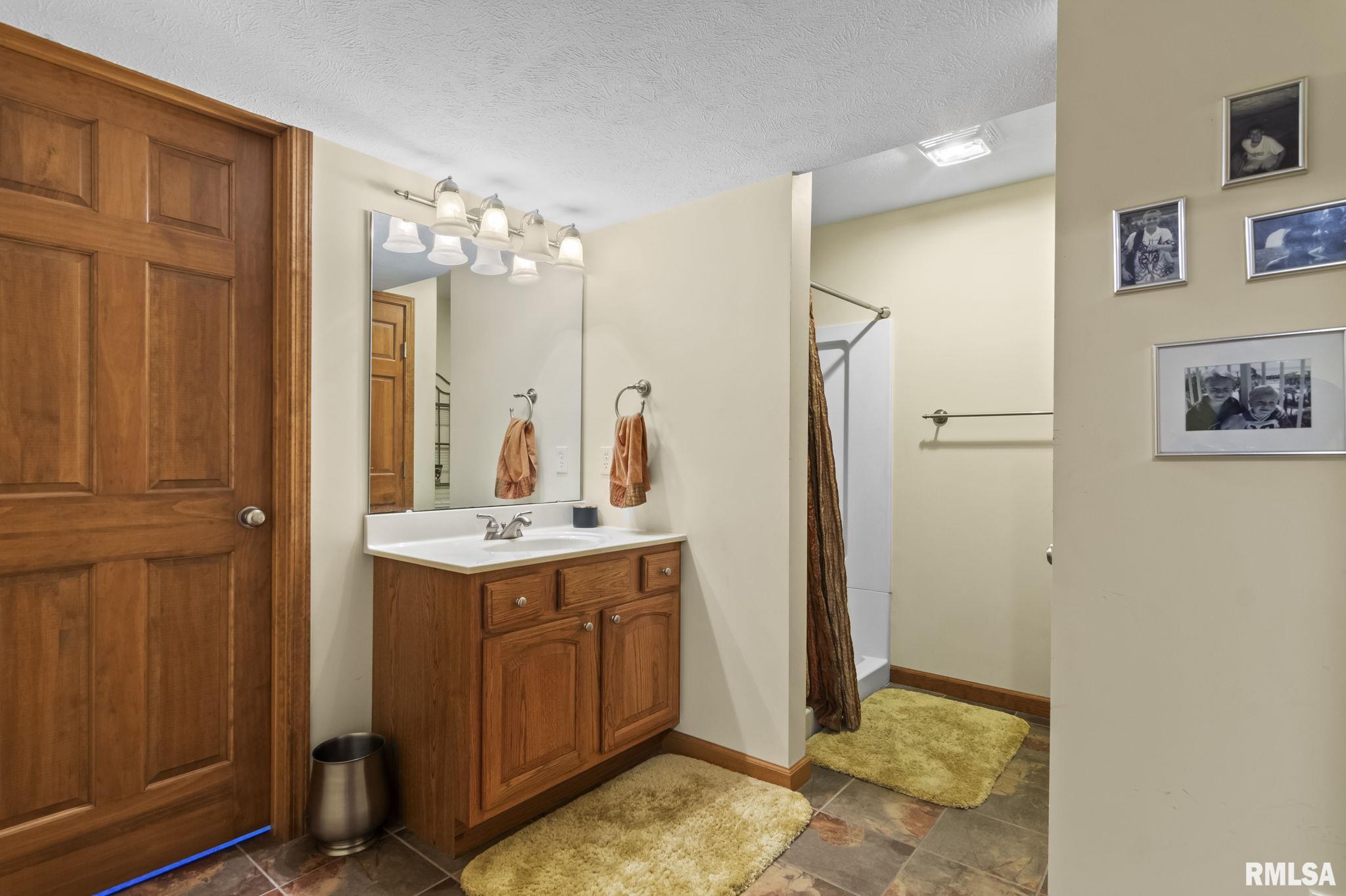 6847 Mansion Road Chatham, IL 62629 - Photo 46 of 71