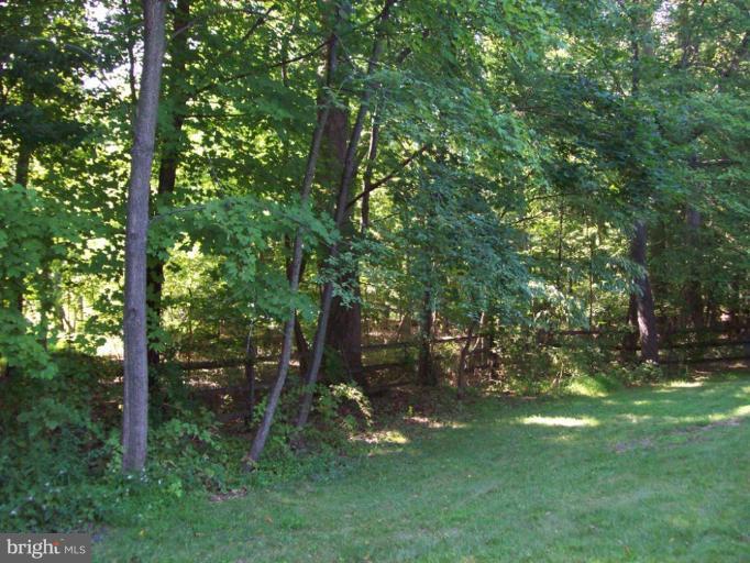 15420 Merrifields Lane Silver Spring, MD 20906 - Photo 4 of 14 Back Yard