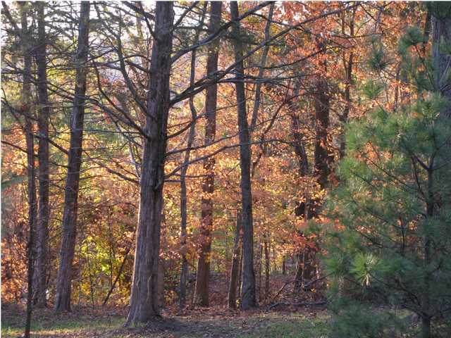 486 Spring Shores Lane Falls Of Rough, KY 40119 - Photo 13 of 15 Additional Photo