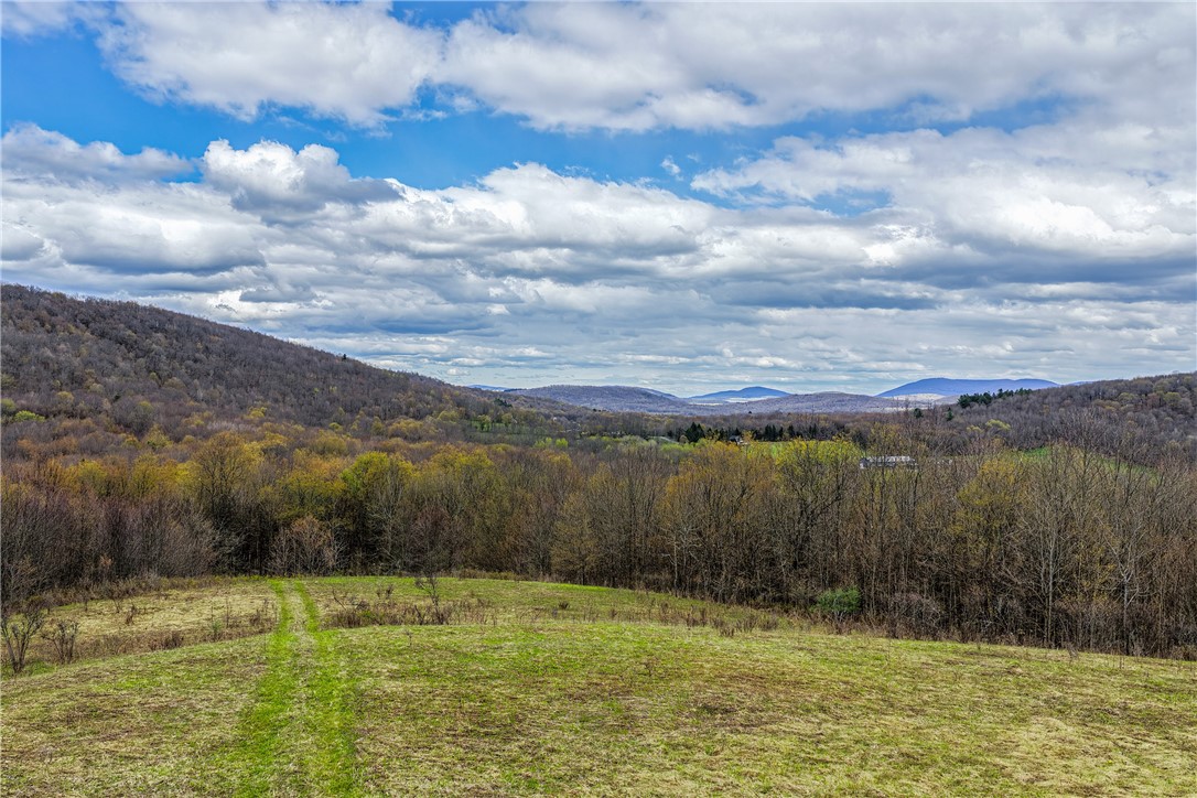 Lot 3 Brownell Road Bloomville, NY 13739 - Photo 35 of 35