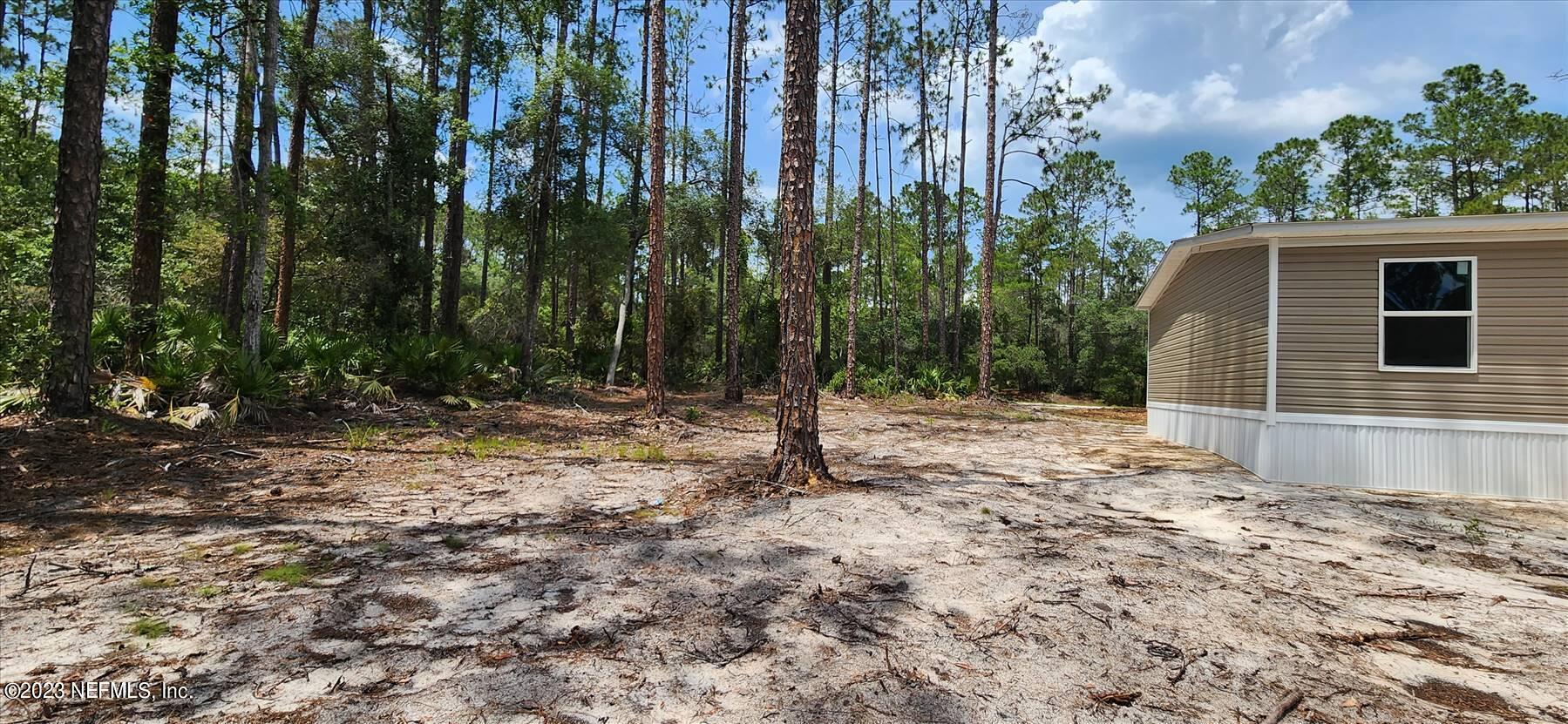 134 Juniper Road Georgetown, FL 32139 - Photo 9 of 20 a backyard of a house with lots of green space