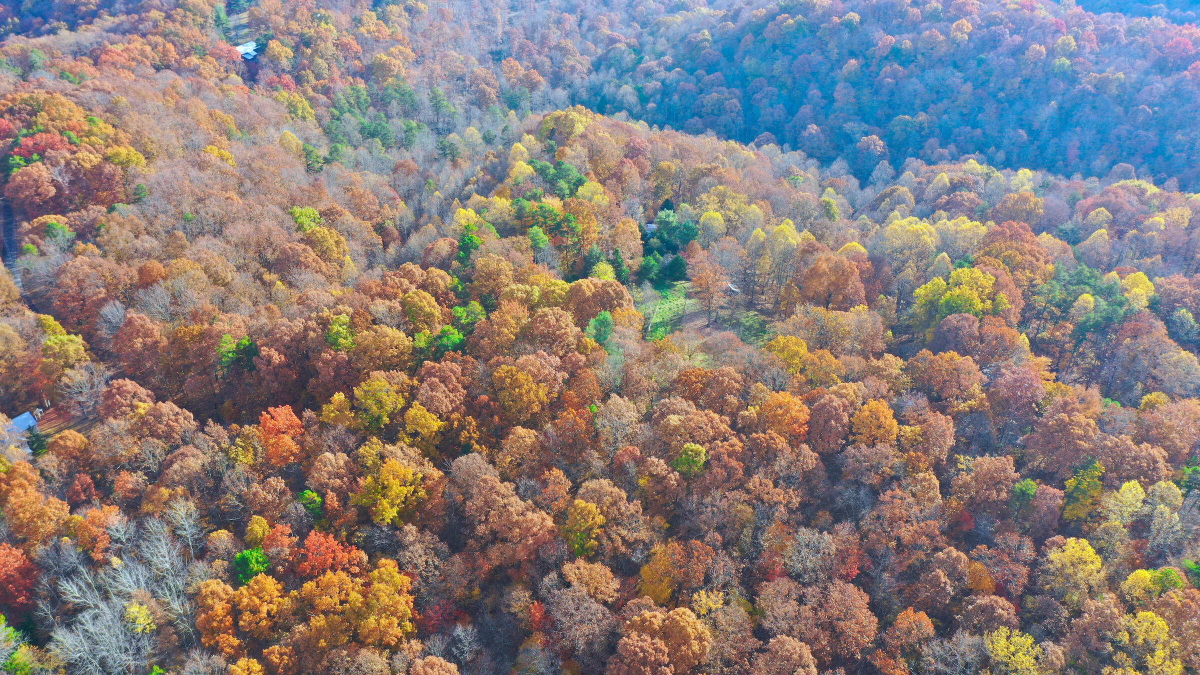 0 Cleft Rock Road Mount Vernon, KY 40456 - Photo 11 of 29 0 Cleft Rock Rd.DJI_0481