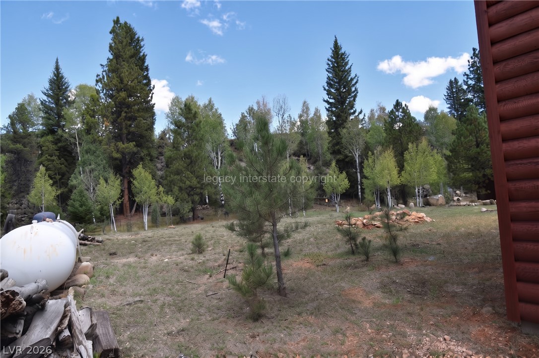 1129 East Ponderosa Road Hatch, UT 84735 - Photo 36 of 47 Mature trees frame the peaceful forest view surrounding this mountain property.