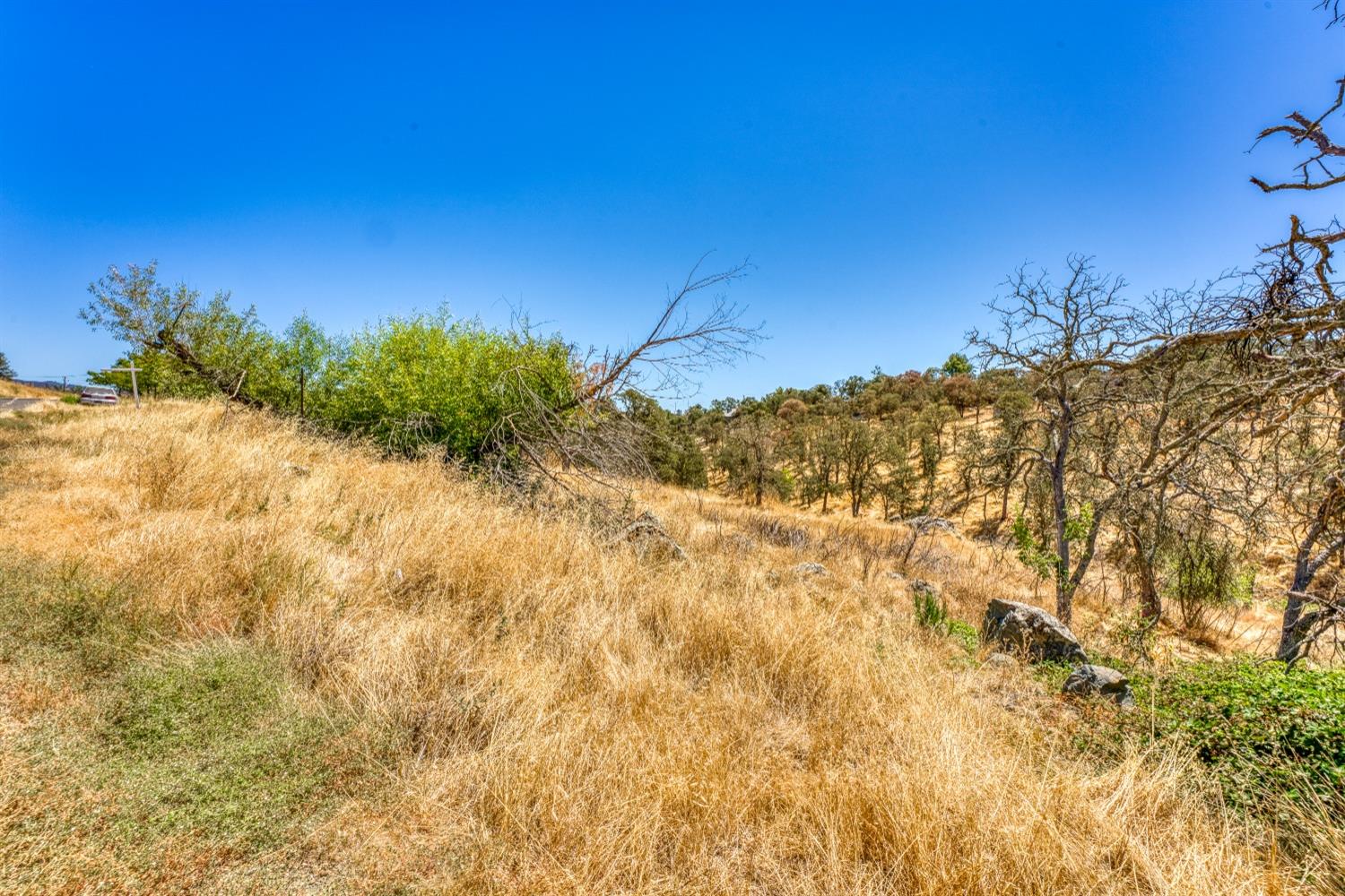 5015 Bane Road Valley Springs, CA 95252 - Photo 6 of 20 a view of a yard