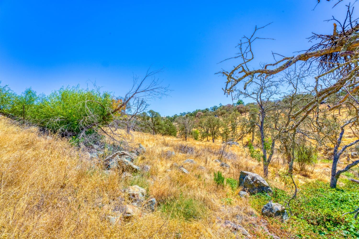 5015 Bane Road Valley Springs, CA 95252 - Photo 8 of 20 a view of a yard with plants and wooden fence
