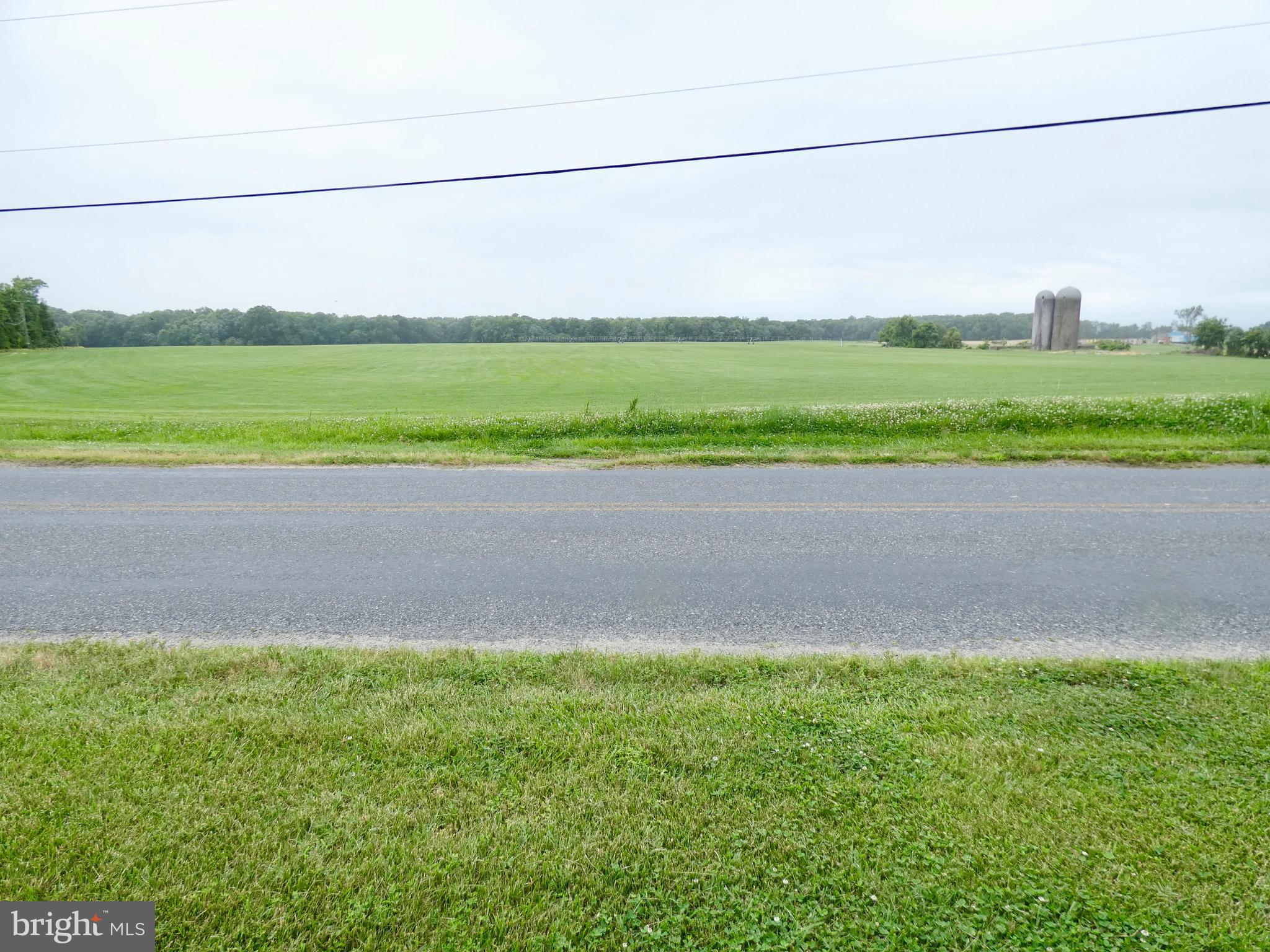 100 Carroll Road Centreville, MD 21617 - Photo 6 of 40 Front yard overlooks country fields.