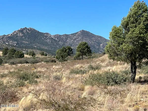 a view of a dry yard with mountains in the background