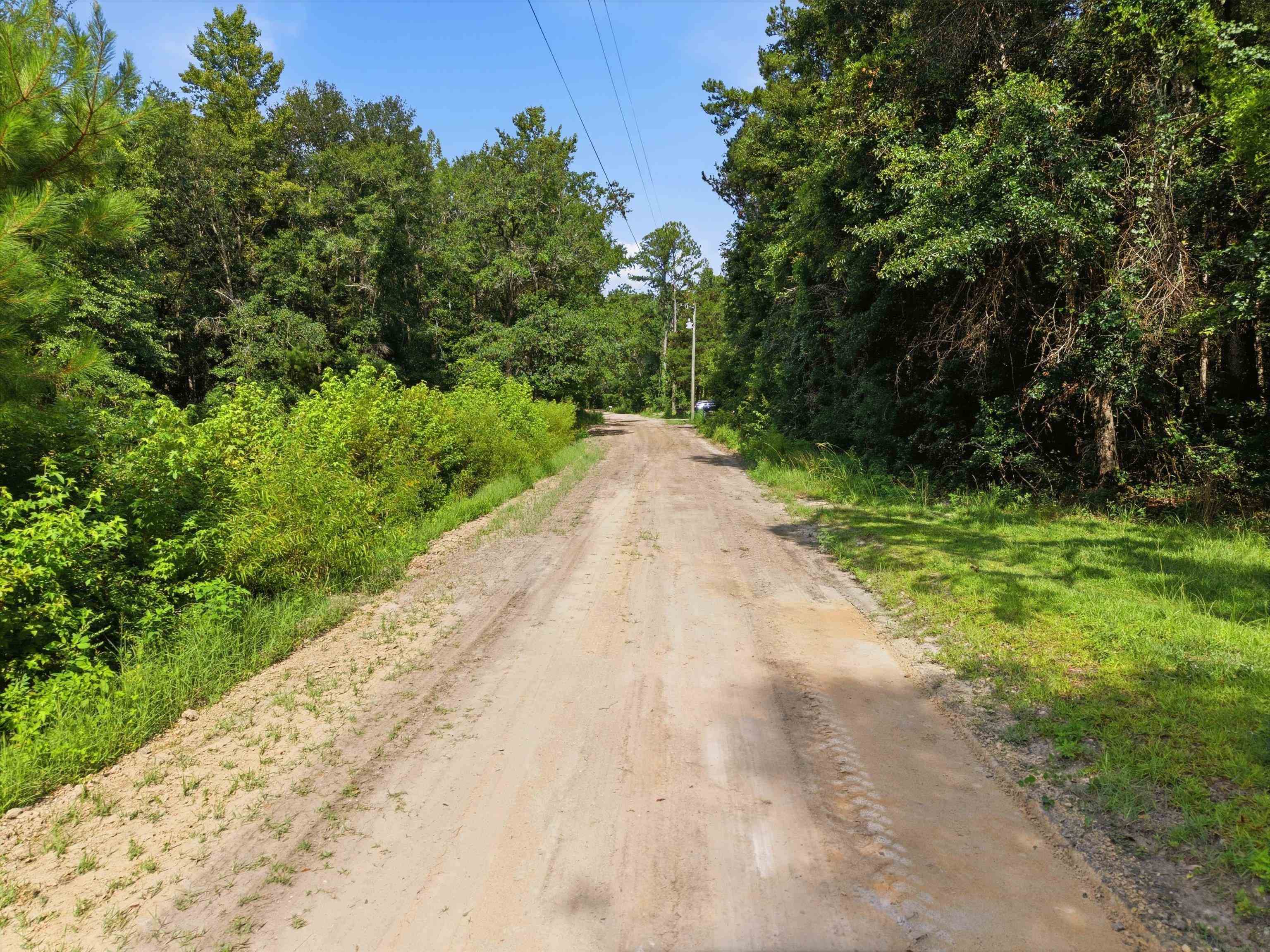 Xxx Neely Road Monticello, FL 32344 - Photo 2 of 37