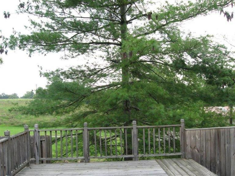 3530 McCowans Ferry Road Versailles, KY 40383 - Photo 26 of 29 Photo 26