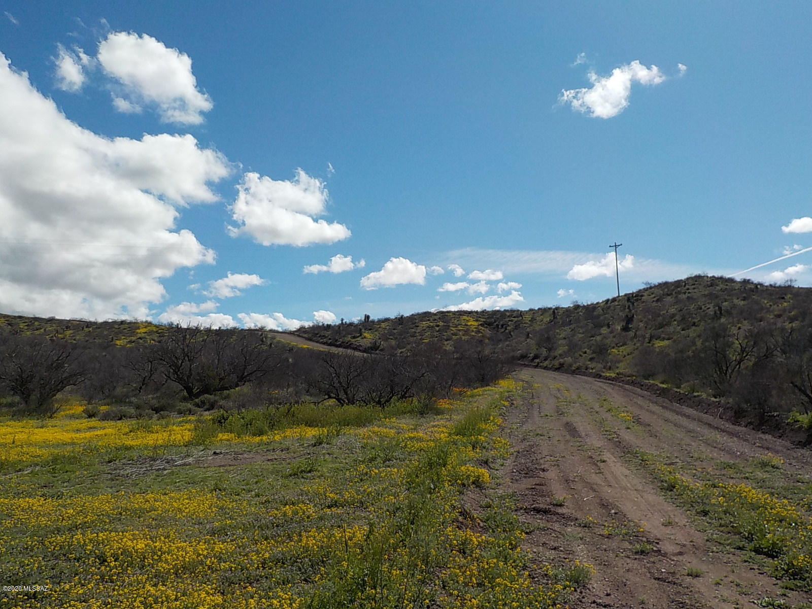Lot 203 36ac Pronghorn Ridge Road Willcox, AZ 85643 - Photo 8 of 8 Gallery Image 8