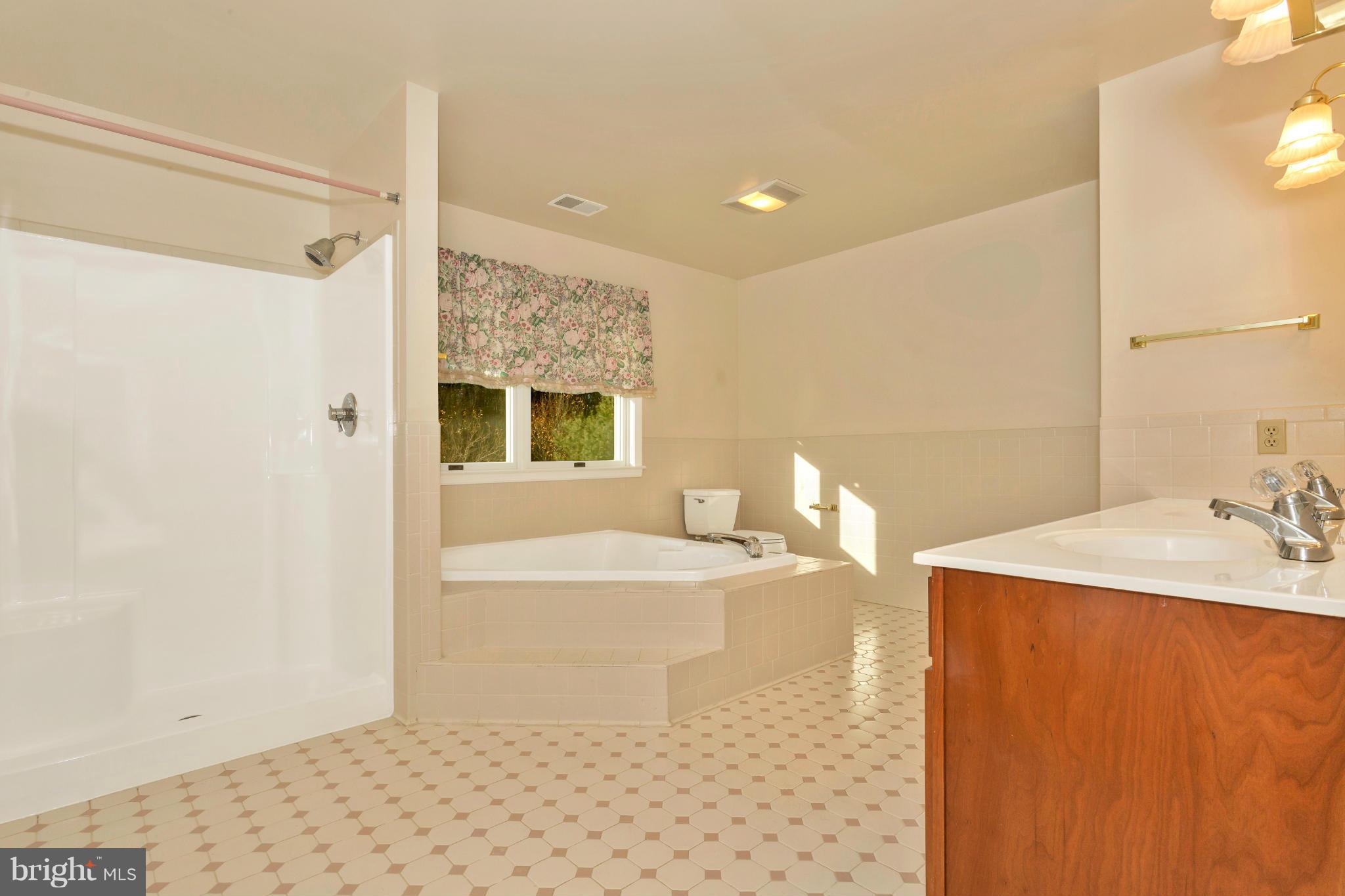 1225 Emmaus Road Woodbine, MD 21797 - Photo 20 of 28 Bath (Master)