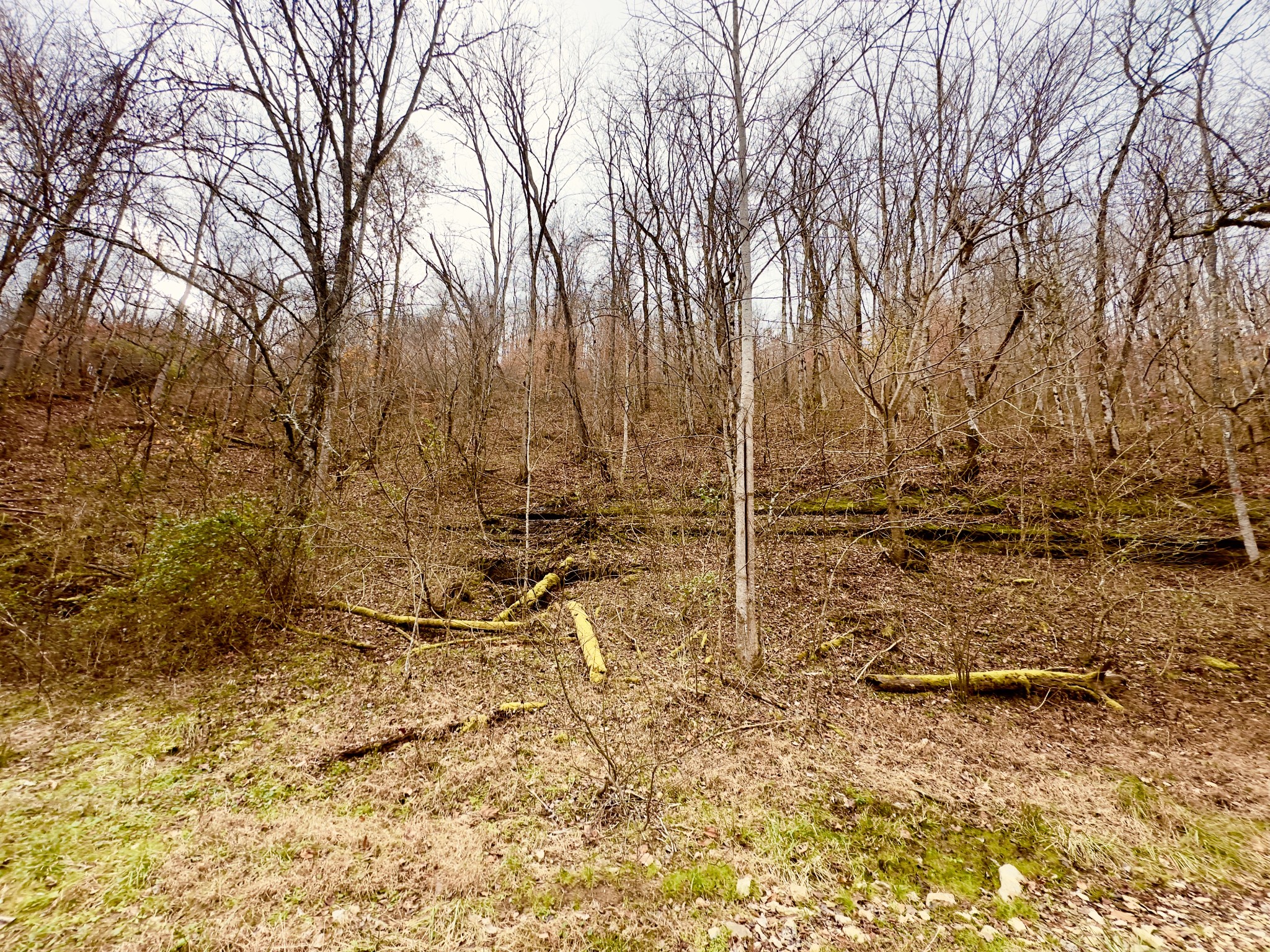 1611 Knob Creek Road Celina, TN 38551 - Photo 40 of 48